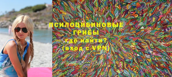 амф Алексин