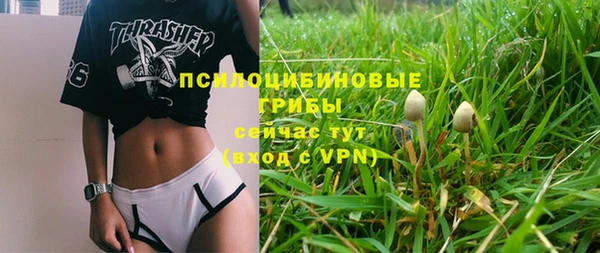 дмт Алзамай