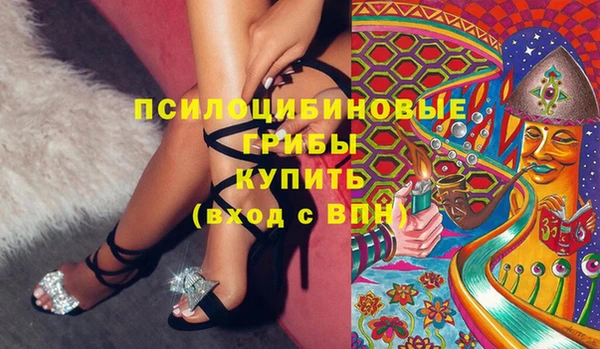 амф Алексин
