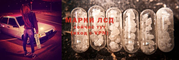 дмт Алзамай