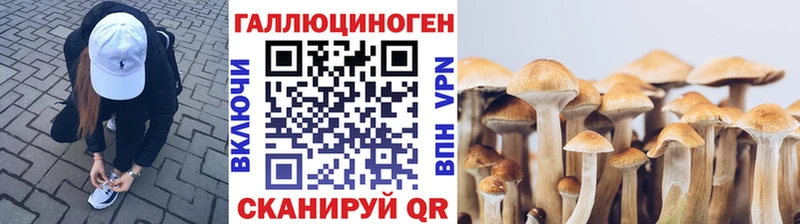 kraken маркетплейс  Грайворон  Галлюциногенные грибы Cubensis 